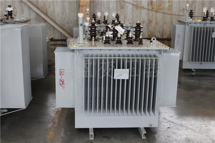 秦皇岛S20-800kVA/10kV/0.4kV变压器